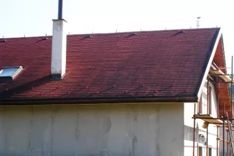 Algae stains on shingle roof