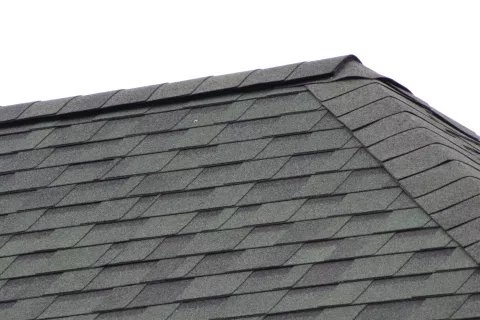 Ventilated shingle roof