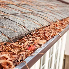 Blocked gutter on roof during spring