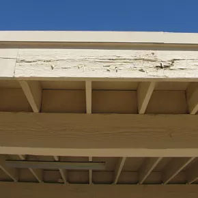Rotted/damaged fascia board during spring